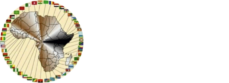united state of africa